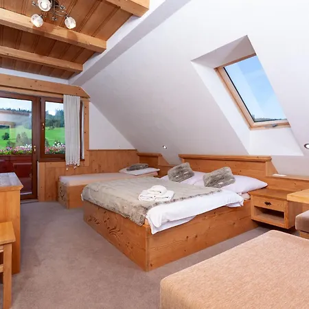 Guest house U Pavla 3*