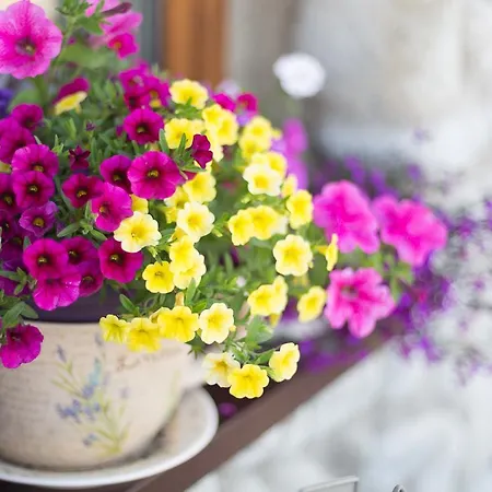 Casa de hóspedes U Pavla 3*